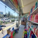 شوینده بهداشتی جهان