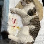 کلینیک دامپزشکی پاندورا