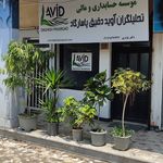 شرکت حسابداری آوید دقیق پاسارگاد