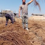 نهالستان برزگر