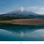 کلاب بوکس شاهین