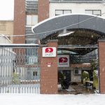 پت شاپ لیما