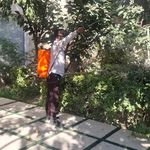 شرکت سمپاشی شیمی گستر
