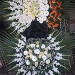 گل فروشی دنیز (آنلاین) -ارسال فوری