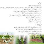 آموزشگاه و مرکز شتابدهی زیست اقتصاد خیام