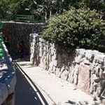 سرویس بهداشتی