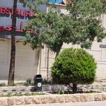 سرویس بهداشتی