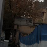 میوه فروشی تقی