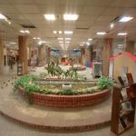 پاتوق کتاب