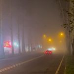 شیرینی الف شعبه فومن