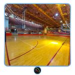 استخر مجموعه ورزشی زیتون سبز