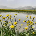 اقامتگاه بوم گردی آوای تالاب