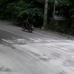 پارک جنگلی کردکوی