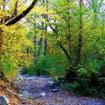 پارک جنگلی کردکوی