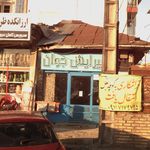 پیرایش عیسی دریایی