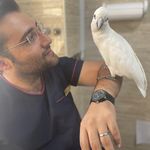 کلینیک دامپزشکی و پت شاپ شوکا آمل