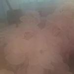 سالن پاکسازی پوست وفیشیال صورت زیبارو