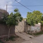 اقامتگاه کوهنوردان زولان جنگل ابر
