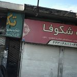 اسپرت شکوفا