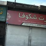 اسپرت شکوفا