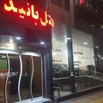 هتل پانیذ
