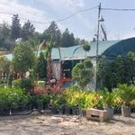 موسسه کشاورزی ایران رز