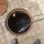 لوله بازکنی استاد معین