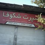 اسپرت شکوفا