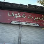 اسپرت شکوفا