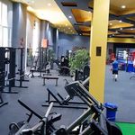 باشگاه بدن سازی و بوکس پژوهش