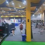 باشگاه بدن سازی و بوکس پژوهش