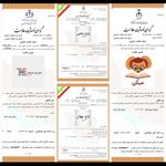 ثبت شرکت برند تغییرات طرح صنعتی ارغوان