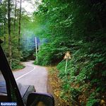 جنگل کردکوی گلستان