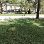 ایستگاه اتوبوس اندیشه 66