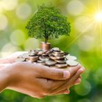 کارگزاری رسمی بیمه مرکزی کد 2515