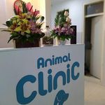 🐾کلینیک دامپزشکی داتیس اندیشه🐾