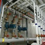 سید محمد حسن سیادتی