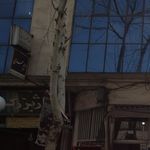 مریم حمدی