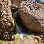 مسجد جامع بیهود