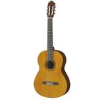 گالری موسیقی ترنم