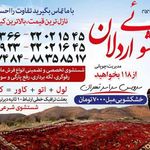 قالیشویی چوپانی
