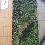 شرکت گلاله سبز