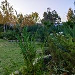 بوستان خانواده شعبه ۴