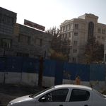 دکتر سیده طاهره میر حسینی