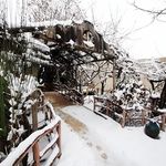 باغ رستوران کلبه