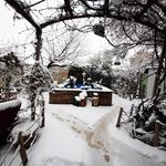 باغ رستوران کلبه