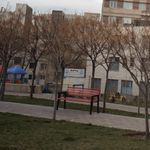 بیمه ایران نمایندگی باقری کد 6781