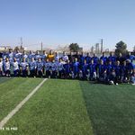 زمین چمن مصنوعی افشین