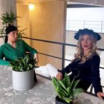 تولید و پخش پوشاک تیلور