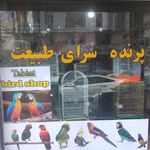 پرنده فروشی سینا